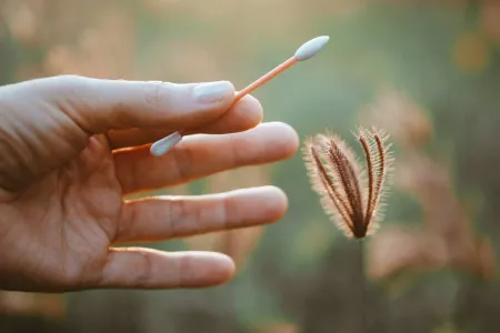 A TPE for sustainable cotton swabs