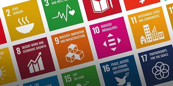 Sustainability Report and Impact Report 2023 for EMEA now available